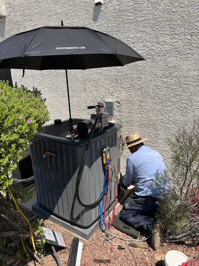 HVAC technician performing outdoor AC maintenance in Round Lake